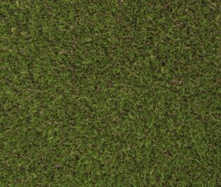 Valiant Artificial Grass