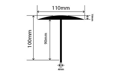 RC100110L